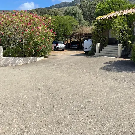 Campingplatz Maison 50m Belvedere-Campomoro